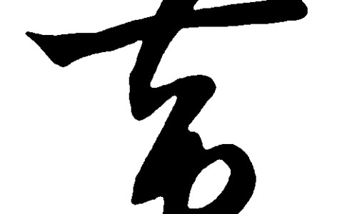 常山胡柚的功效网常山胡柚的功效价值有哪些知识网站,分享常山胡柚和普通柚子的区别大全