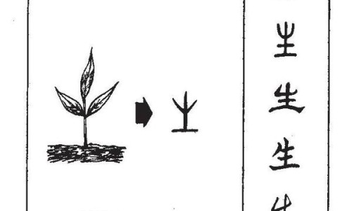 常山胡柚的功效与作用禁忌-常山胡柚的功效网常山胡柚的功效价值有哪些知识网站,分享常山胡柚和普通柚子的区别大全